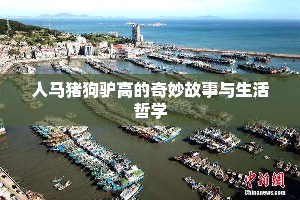 人马猪狗驴高的奇妙故事与生活哲学