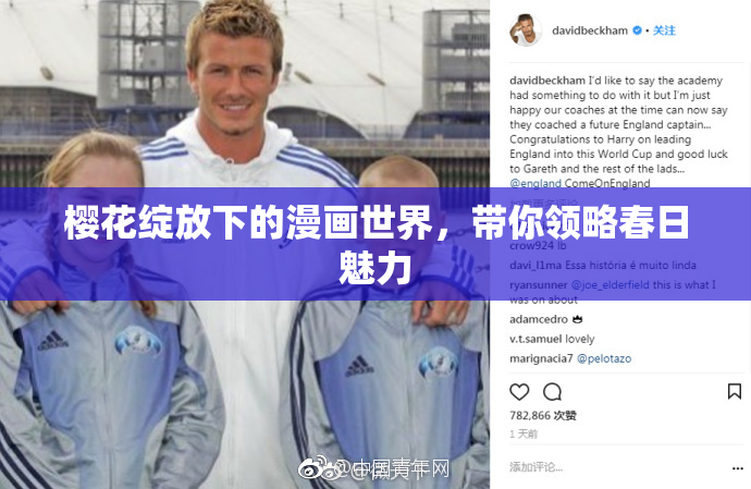 樱花绽放下的漫画世界，带你领略春日魅力