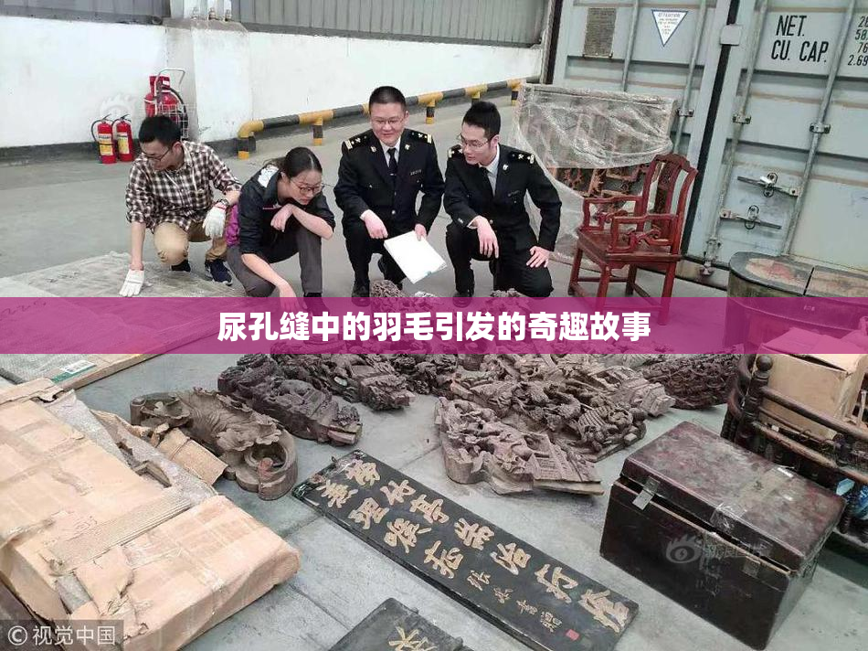 尿孔缝中的羽毛引发的奇趣故事