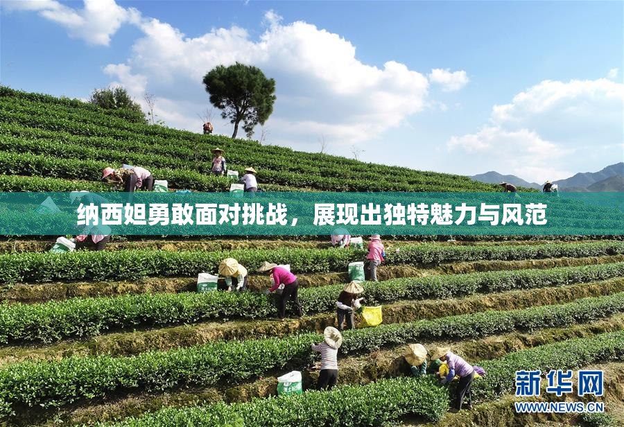 纳西妲勇敢面对挑战，展现出独特魅力与风范