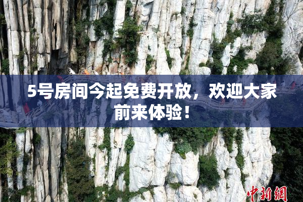 5号房间今起免费开放，欢迎大家前来体验！