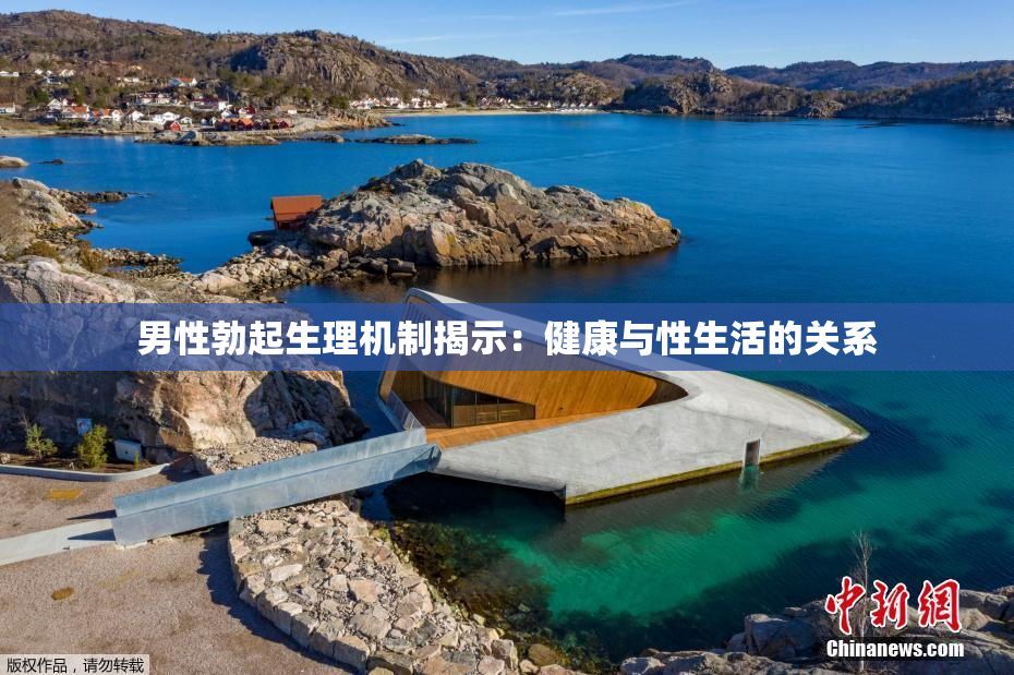 男性勃起生理机制揭示：健康与性生活的关系