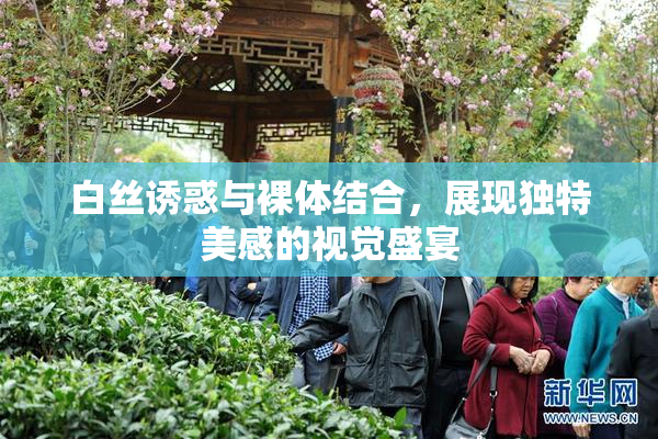 白丝诱惑与裸体结合，展现独特美感的视觉盛宴