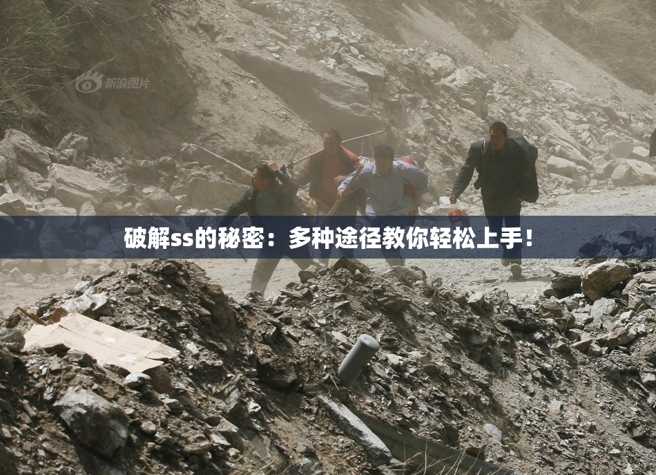 破解ss的秘密：多种途径教你轻松上手！