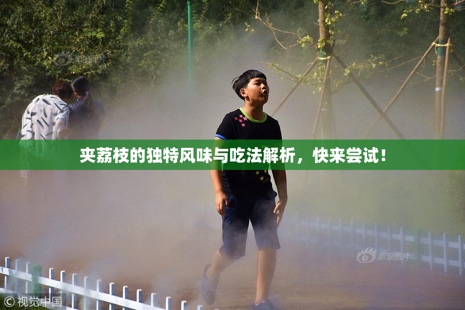 夹荔枝的独特风味与吃法解析，快来尝试！