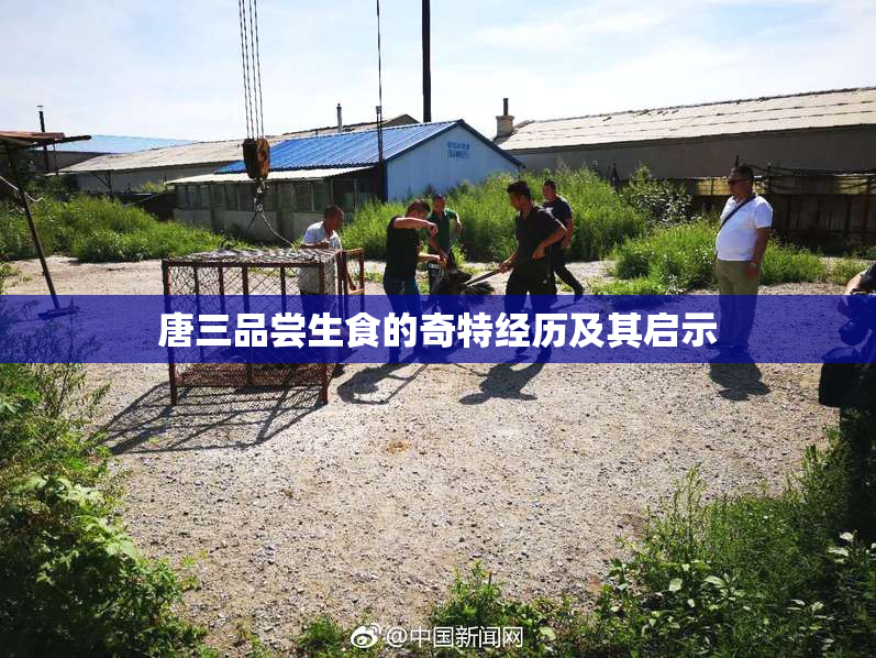 唐三品尝生食的奇特经历及其启示