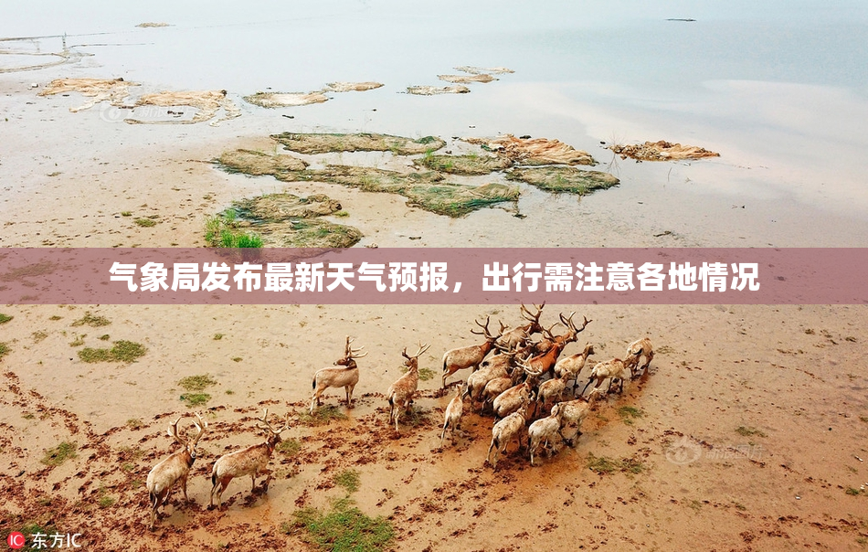 气象局发布最新天气预报，出行需注意各地情况