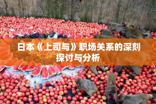 日本《上司与》职场关系的深刻探讨与分析