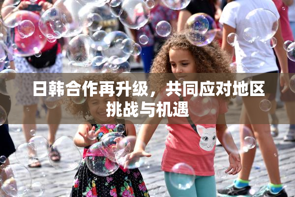 日韩合作再升级，共同应对地区挑战与机遇
