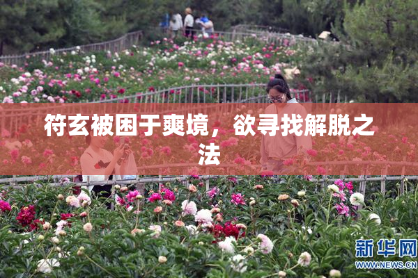 符玄被困于爽境，欲寻找解脱之法