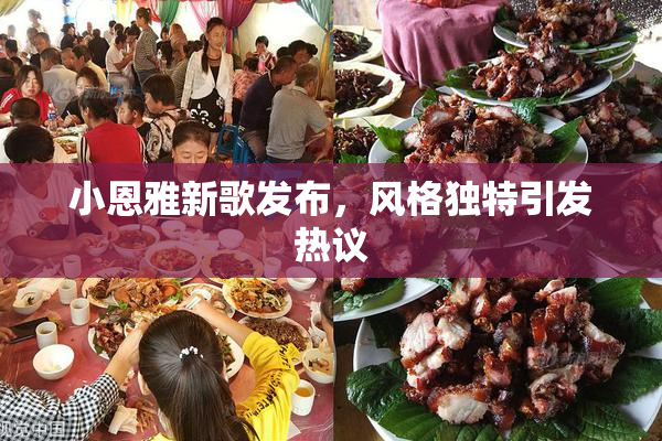 小恩雅新歌发布，风格独特引发热议