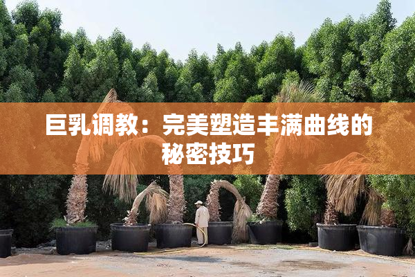 巨乳调教：完美塑造丰满曲线的秘密技巧