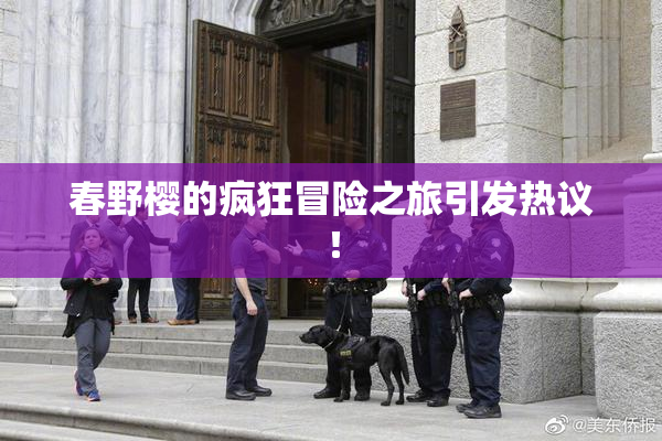 春野樱的疯狂冒险之旅引发热议！
