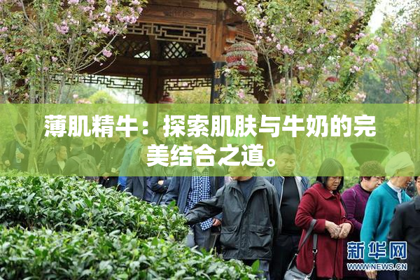 薄肌精牛：探索肌肤与牛奶的完美结合之道。