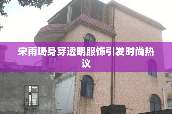 宋雨琦身穿透明服饰引发时尚热议