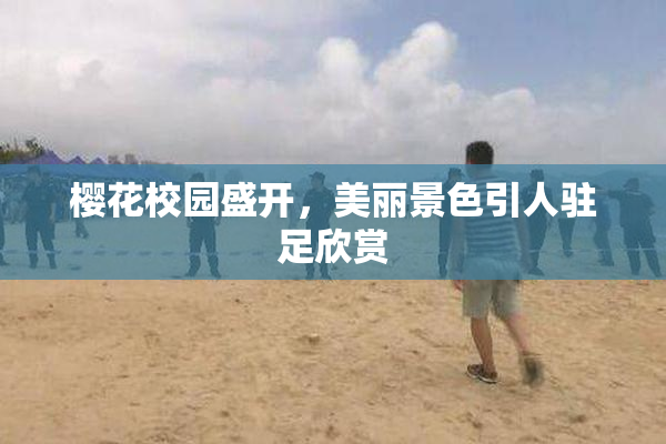 樱花校园盛开，美丽景色引人驻足欣赏