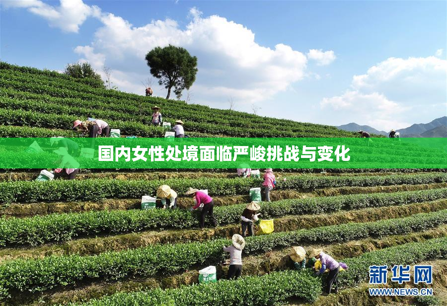 国内女性处境面临严峻挑战与变化
