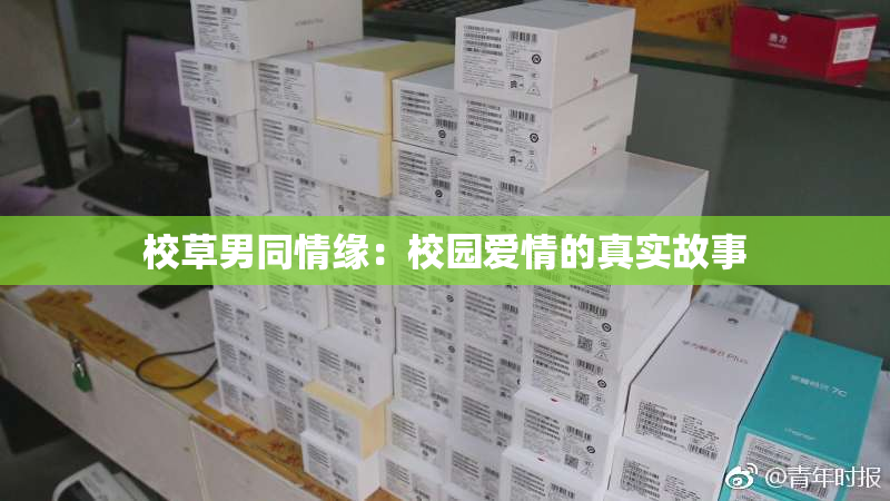 校草男同情缘：校园爱情的真实故事