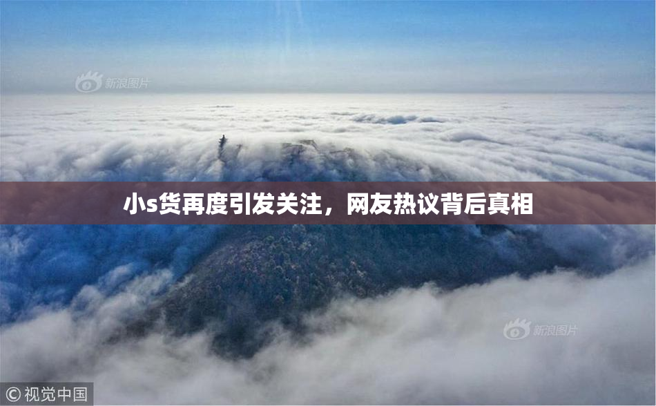 小s货再度引发关注，网友热议背后真相