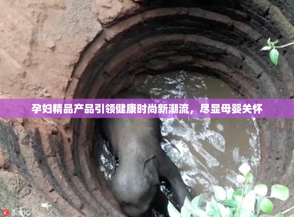 孕妇精品产品引领健康时尚新潮流，尽显母婴关怀