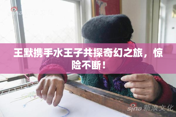 王默携手水王子共探奇幻之旅，惊险不断！
