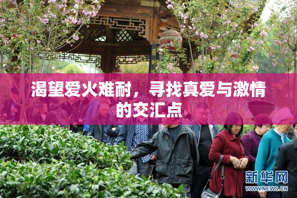 渴望爱火难耐，寻找真爱与激情的交汇点