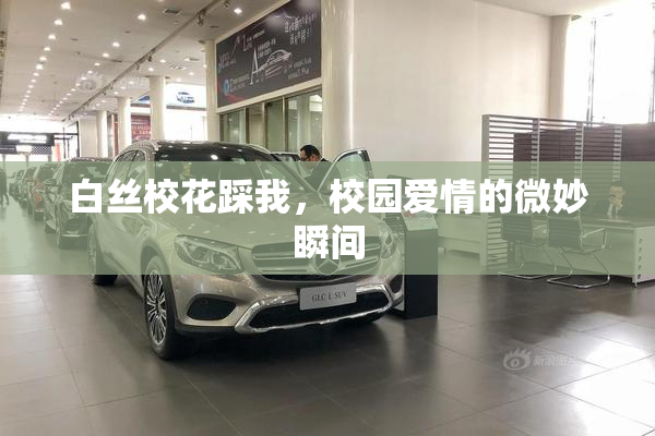 白丝校花踩我，校园爱情的微妙瞬间
