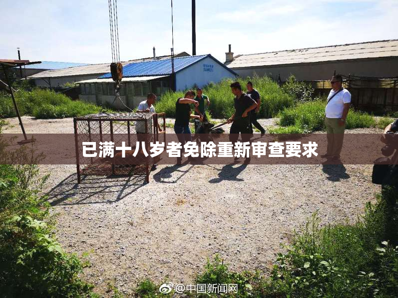 已满十八岁者免除重新审查要求