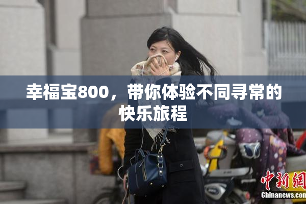 幸福宝800，带你体验不同寻常的快乐旅程