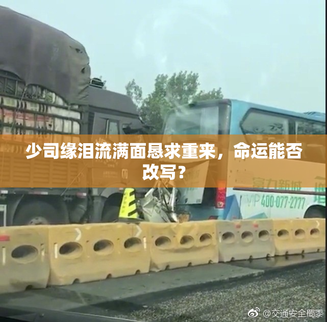 少司缘泪流满面恳求重来，命运能否改写？