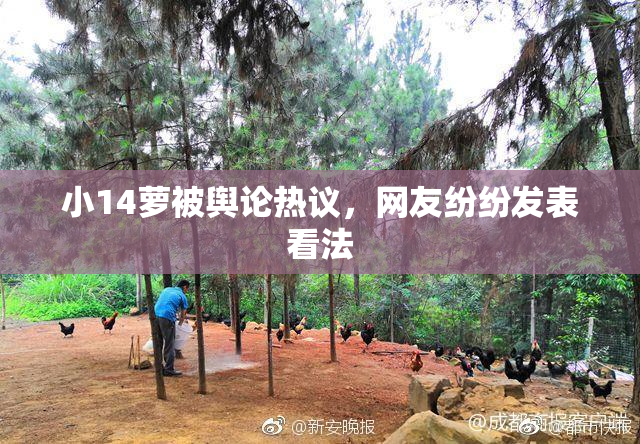 小14萝被舆论热议，网友纷纷发表看法