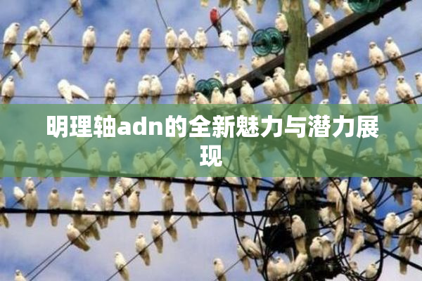 明理轴adn的全新魅力与潜力展现