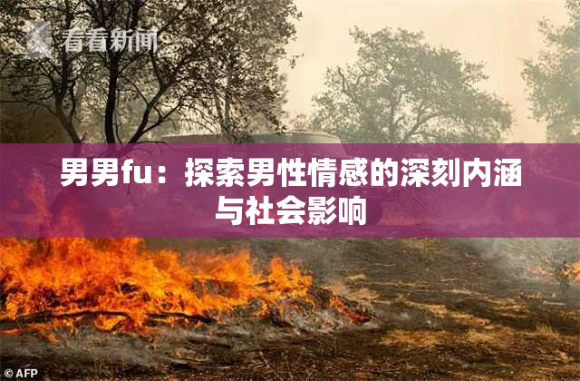 男男fu：探索男性情感的深刻内涵与社会影响