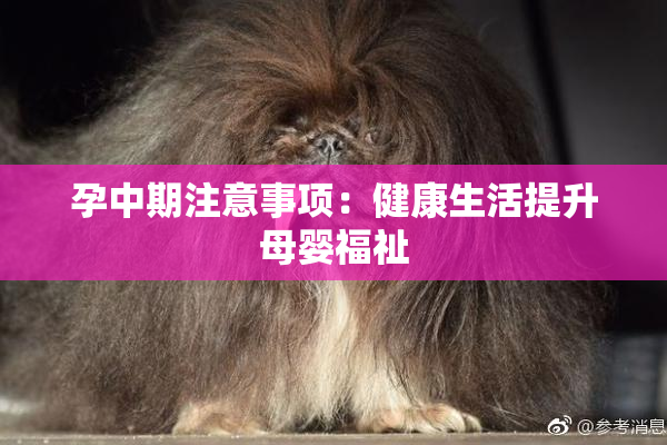 孕中期注意事项：健康生活提升母婴福祉