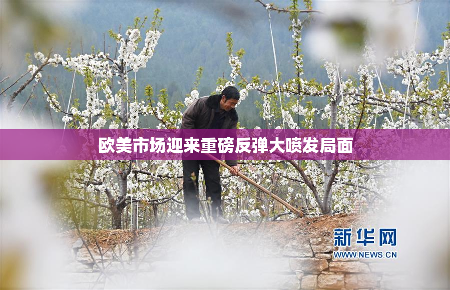 欧美市场迎来重磅反弹大喷发局面
