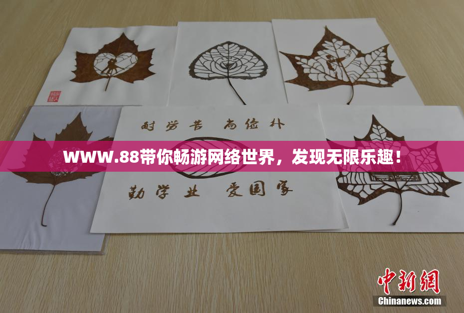 WWW.88带你畅游网络世界，发现无限乐趣！