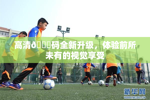 高清🈚码全新升级，体验前所未有的视觉享受