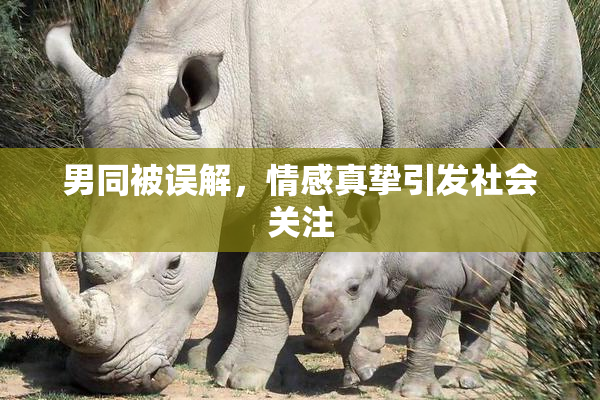 男同被误解，情感真挚引发社会关注