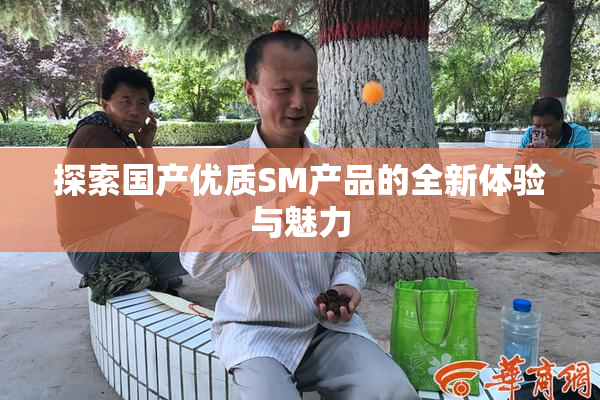 探索国产优质SM产品的全新体验与魅力