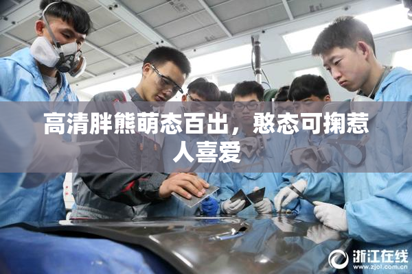高清胖熊萌态百出，憨态可掬惹人喜爱