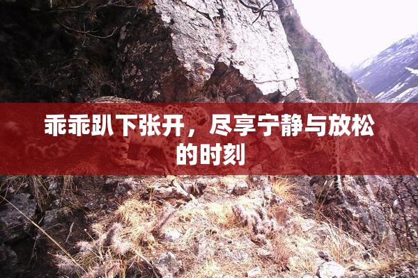 乖乖趴下张开，尽享宁静与放松的时刻