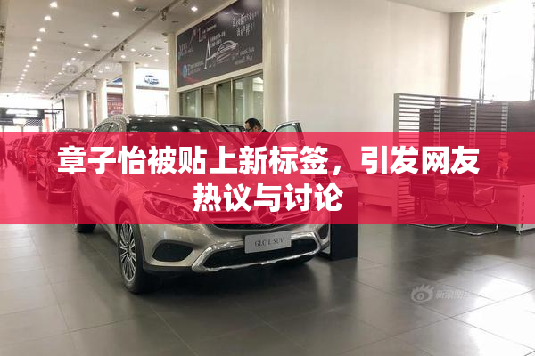 章子怡被贴上新标签，引发网友热议与讨论