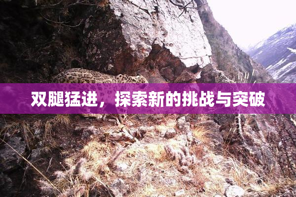 双腿猛进，探索新的挑战与突破