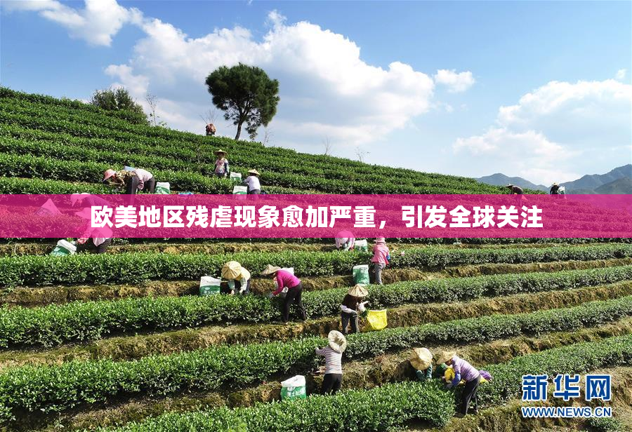 欧美地区残虐现象愈加严重，引发全球关注
