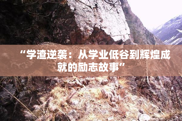 “学渣逆袭：从学业低谷到辉煌成就的励志故事”