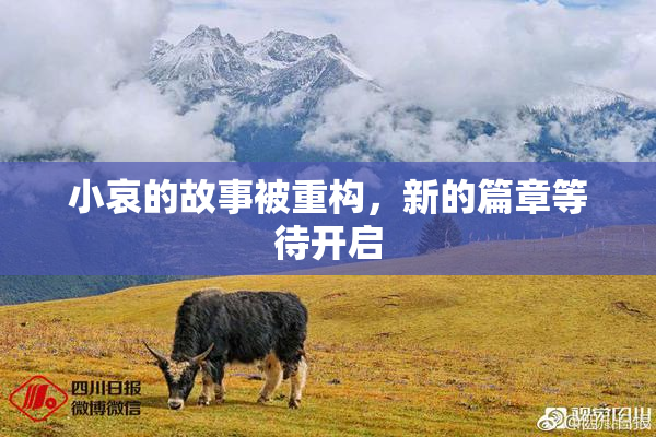 小哀的故事被重构，新的篇章等待开启