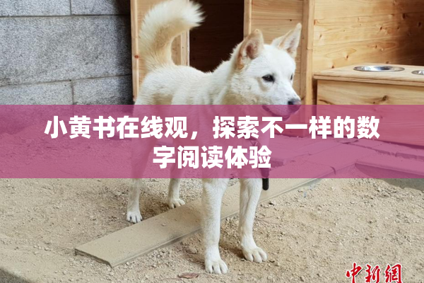 小黄书在线观，探索不一样的数字阅读体验