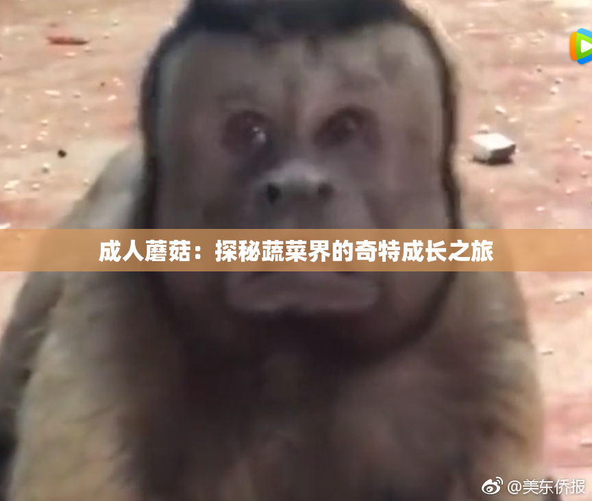 成人蘑菇：探秘蔬菜界的奇特成长之旅