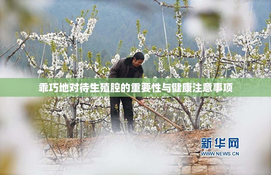 乖巧地对待生殖腔的重要性与健康注意事项