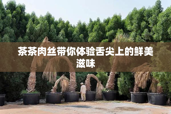 茶茶肉丝带你体验舌尖上的鲜美滋味